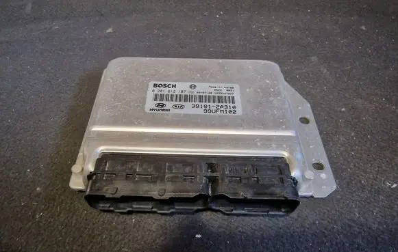 Hyundai Matrix Engine control unit/module 391012A310 0281012107