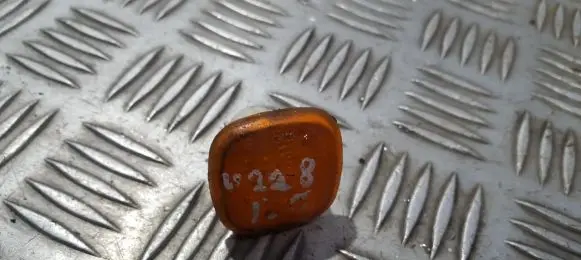 Front fender indicator light