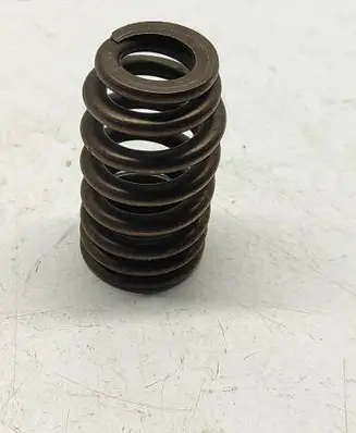 Dodge Challenger Valve spring 5037382BC