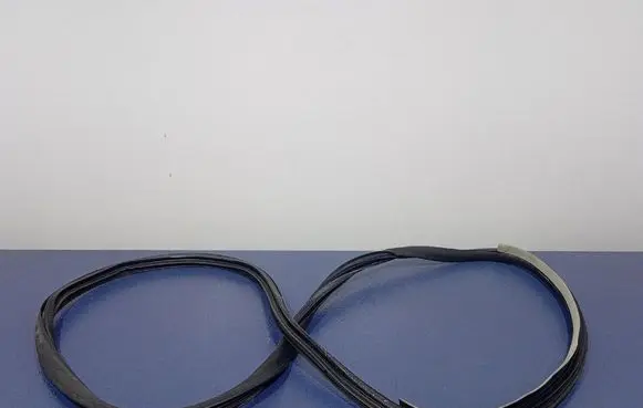 Renault Laguna III Front door rubber seal 