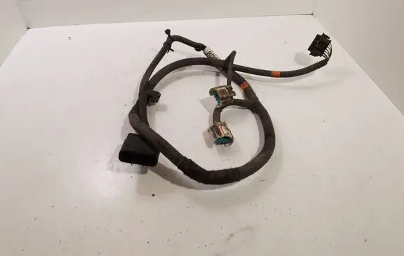 Other wiring loom
