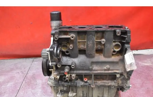 Hyundai Tucson JM Engine block D4EA