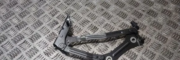 Ford Mustang VI Tailgate/trunk/boot hinge FR3B6342701