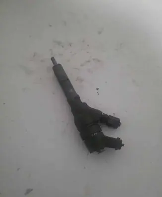 Citroen Xsara Picasso Fuel injector 0445110008