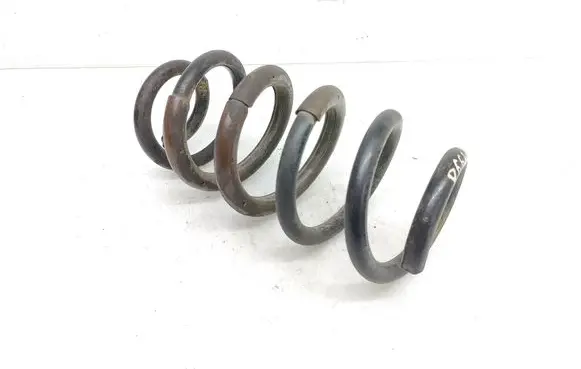 Rear coil spring