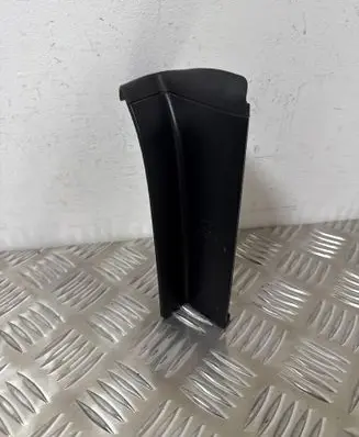Rear/tail light trim molding