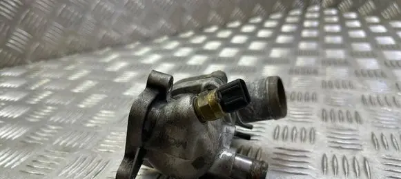 Thermostat/thermostat housing