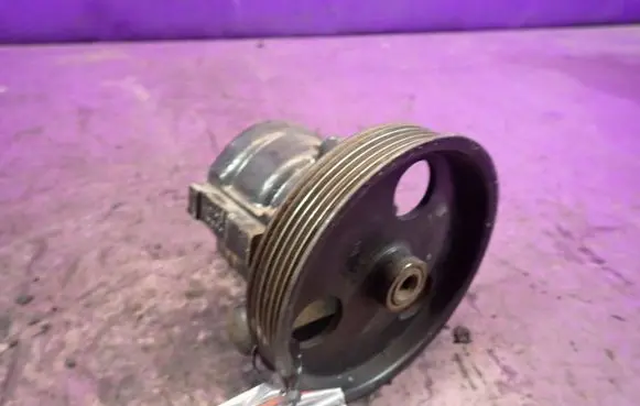 Renault Thalia I Power steering pump