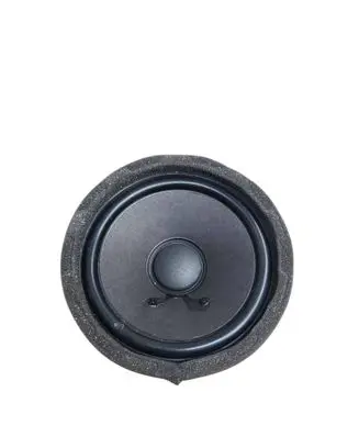 Mercedes-Benz EQE v295 Front door speaker A2238201300