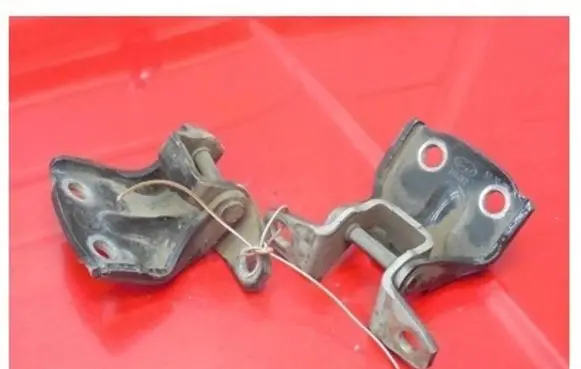 Hyundai Santa Fe Rear door hinge set 
