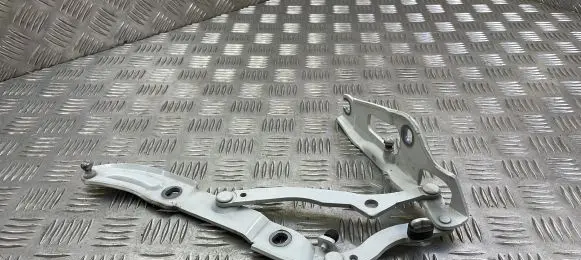 BMW 2 F22 F23 Tailgate/trunk/boot hinge 730455704 7304557