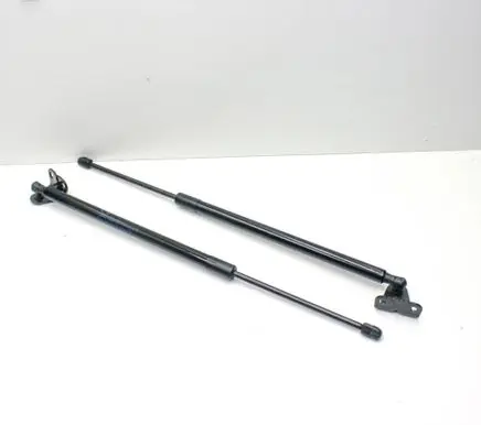 Ford Kuga III Tailgate/trunk strut/damper LV4BS406A10CA LV4BS406A11CA