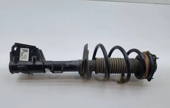Chrysler Pacifica Front shock absorber with coil spring P68294076AF 824904013542 68294076AF