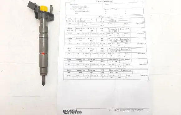Mercedes-Benz Sprinter W906 Fuel injector 0445116028 A6420701287