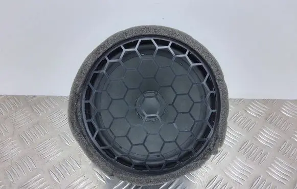 Rear door speaker
