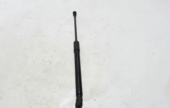 Tailgate strut