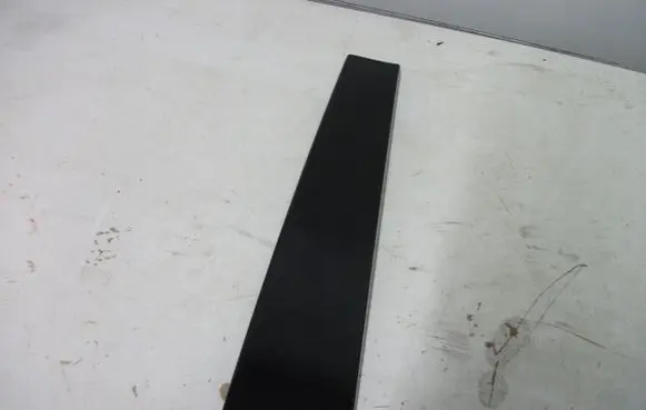 Rear door trim (molding)