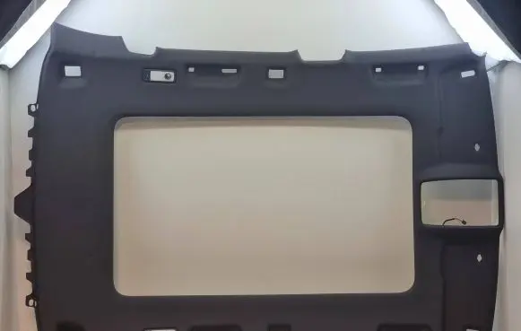 Audi Q5 SQ5 Headlining 8R0867501N 8R0867501NK23
