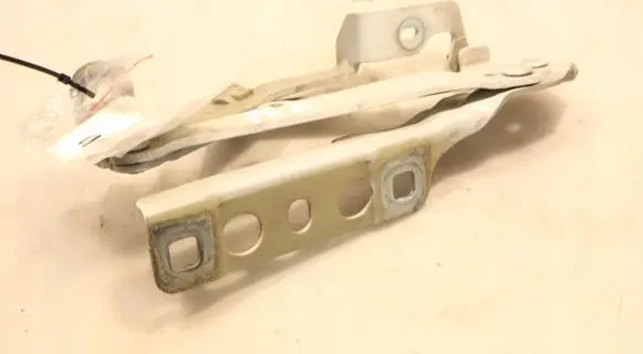 Engine bonnet/hood hinges