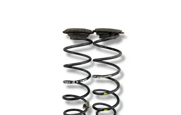 Rear coil spring