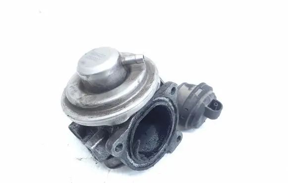 EGR valve
