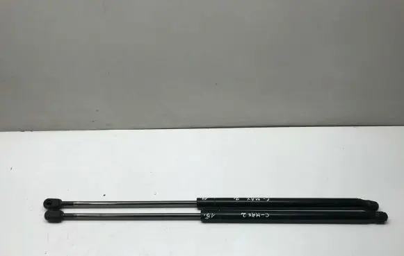 Tailgate/trunk strut/damper
