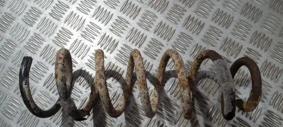 Peugeot 406 Rear coil spring