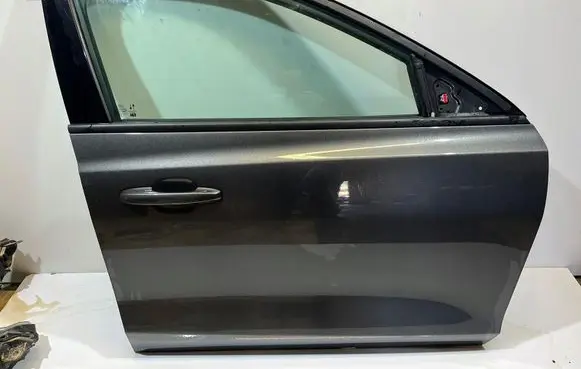 Ford Focus Front door 