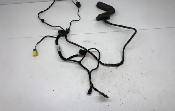 Volkswagen PASSAT CC Front door wiring loom 3C8971121CG