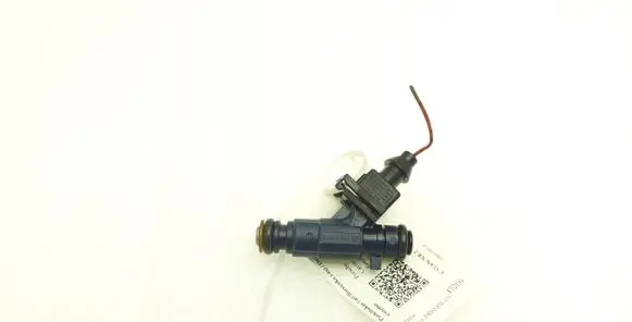 Porsche Cayenne (9PA) Fuel injector 0280156101