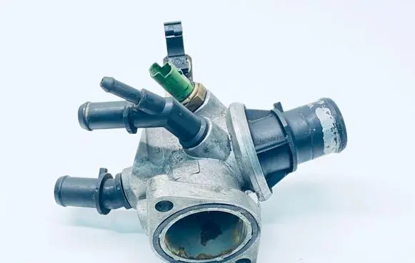 Thermostat/thermostat housing
