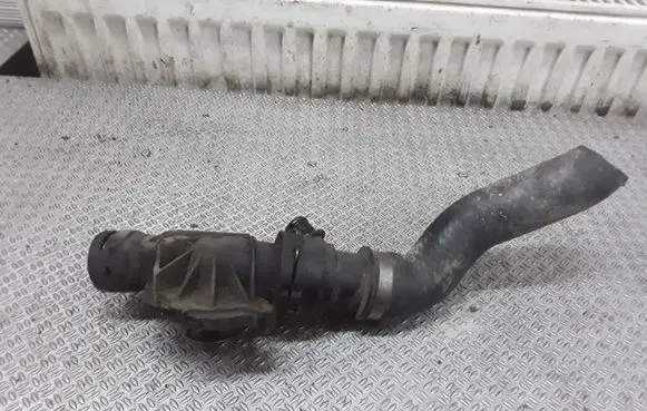Thermostat/thermostat housing