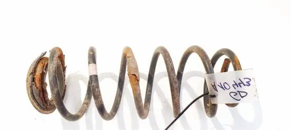 Rear coil spring