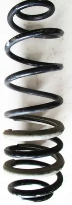 Ford Ecosport Rear coil spring