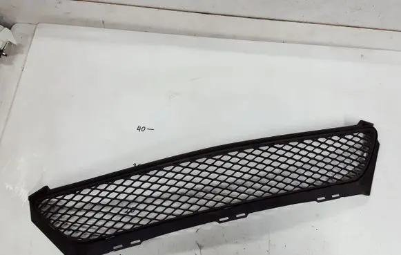 Front bumper lower grill