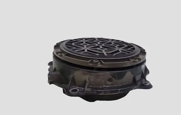 Citroen C5 Rear door speaker