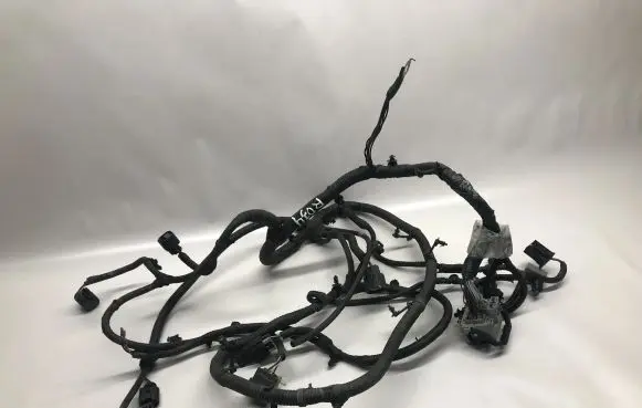 Dodge RAM 1500 DS Other wiring loom 68209987AD P68209987AD