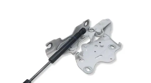 BMW X7 G07 Engine bonnet/hood hinges 7418202MWGK2603