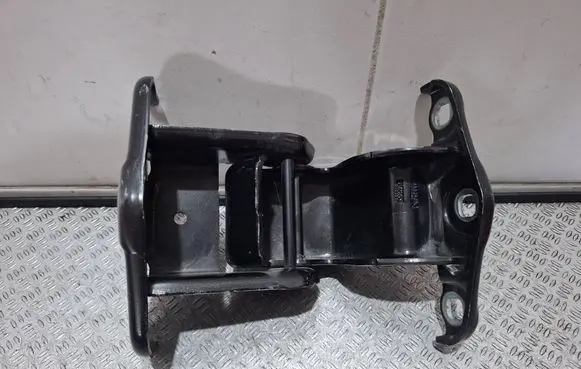 Renault Trafic III (X82) Rear door hinge set 