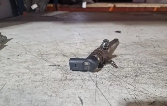 Nissan Juke I F15 Fuel injector H8201100113