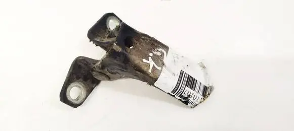 Mitsubishi Lancer X Rear door lower hinge