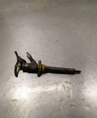 Peugeot 5008 Fuel injector 0445110297