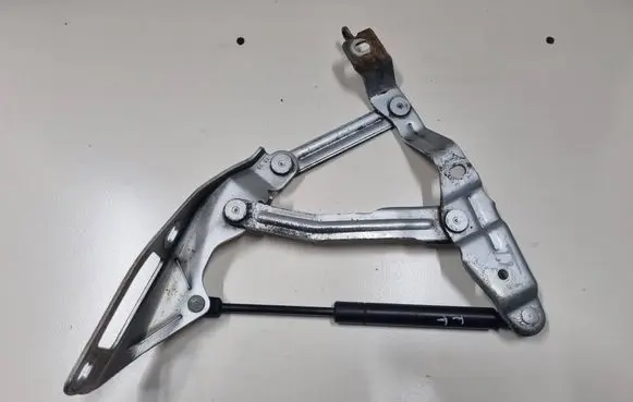 Audi TT Mk1 Engine bonnet/hood hinges 8N0823302