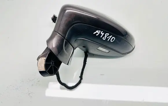 Porsche Panamera (970) Front door electric wing mirror 199810