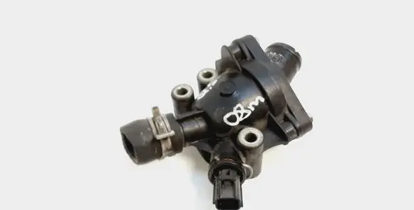 Thermostat/thermostat housing