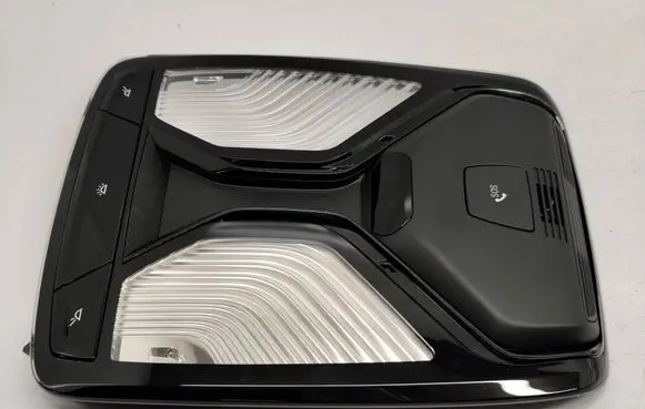 BMW X3 G01 Headlining lighting console trim 5B32466 61315B32466 1231500091