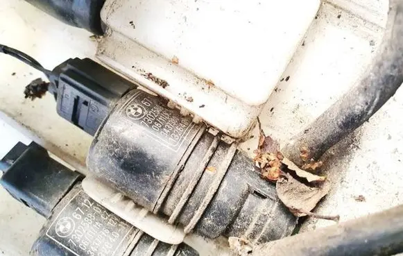 Windscreen/windshield washer pump