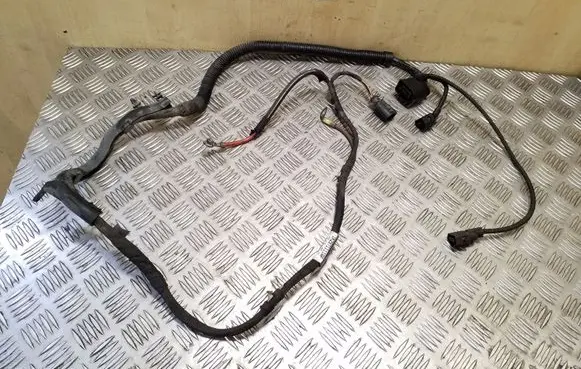 Other wiring loom
