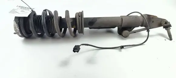 Dodge Challenger Front shock absorber with coil spring 05181906AC