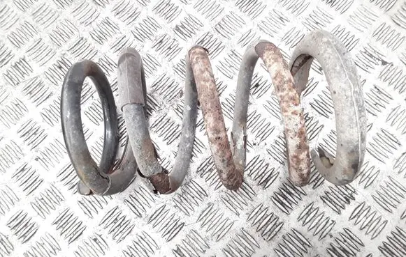 KIA Carnival Rear coil spring